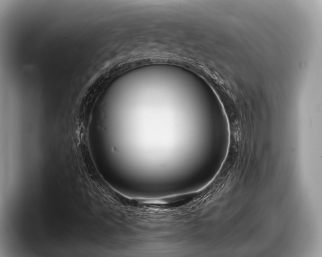 X0000097871495200803211304