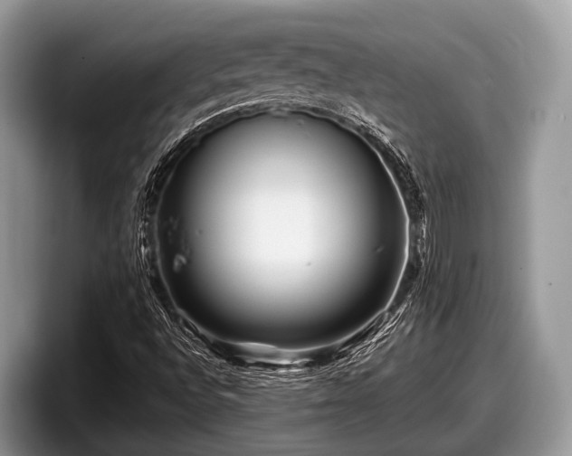 X0000097871496200803211304