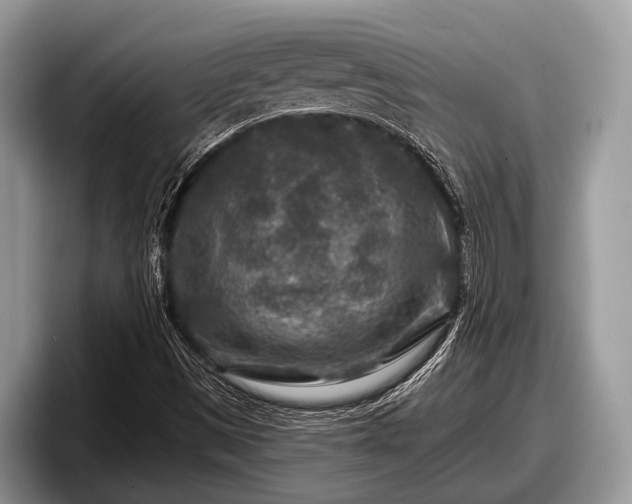 X0000097871497200803211304