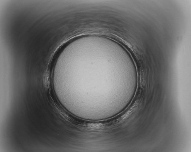 X0000097871498200803211304
