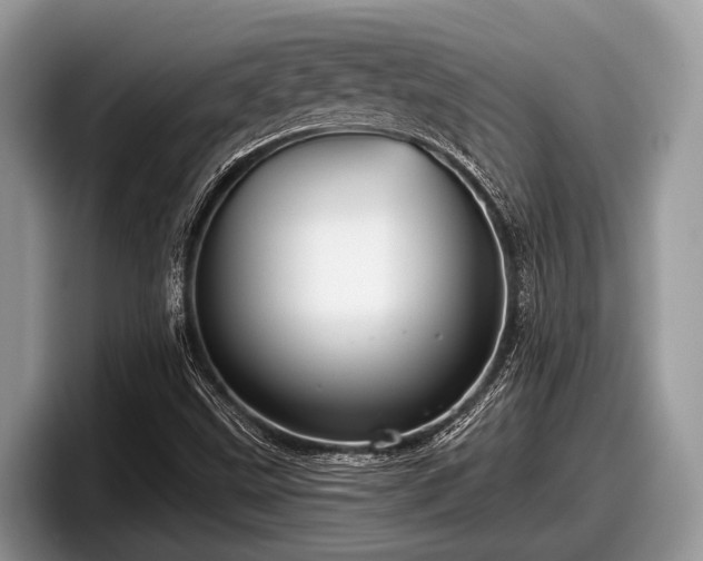 X0000097871499200803211304