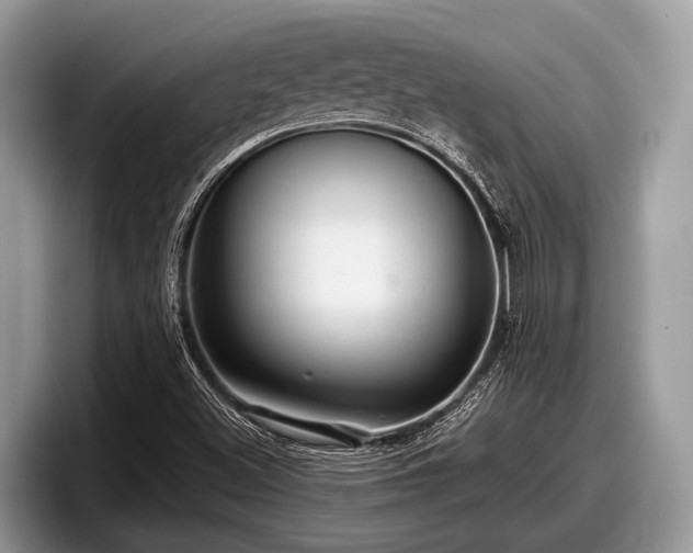 X0000097871500200803211304
