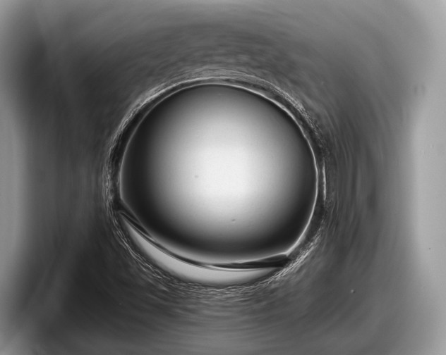 X0000097871501200803211304