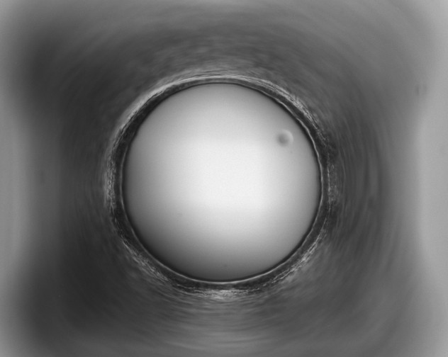 X0000097871502200803211304