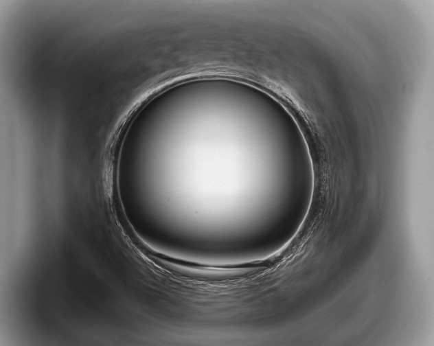 X0000097871504200803211304