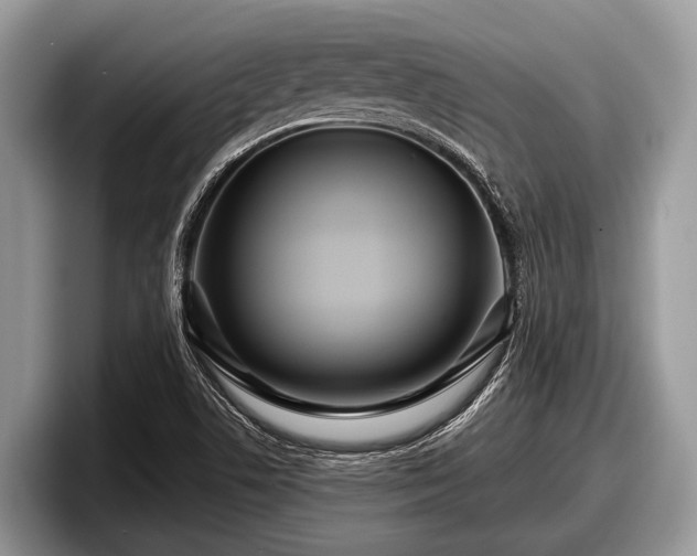 X0000097871506200803211304