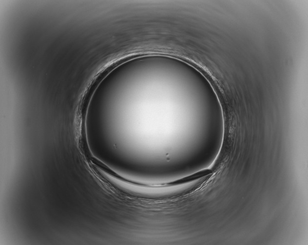 X0000097871507200803211304