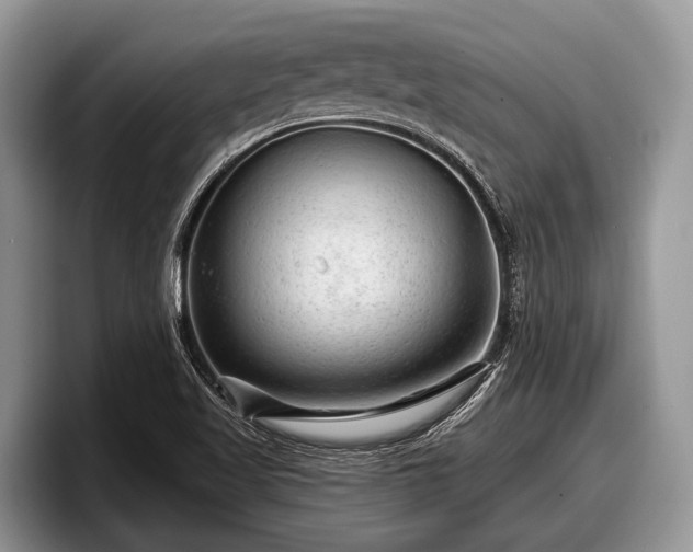 X0000097871509200803211304