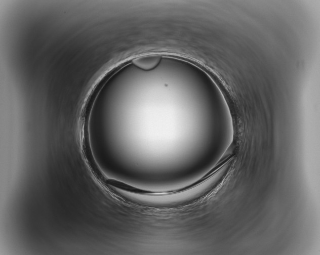 X0000097871511200803211304