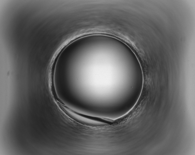 X0000097871512200803211304