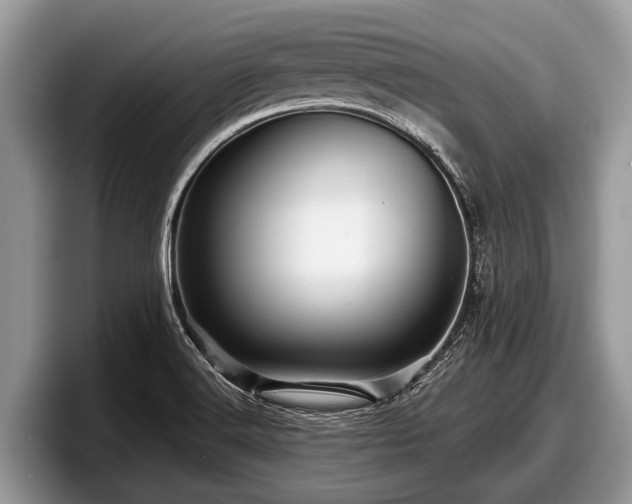 X0000097871516200803211304
