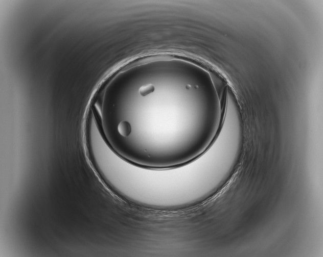 X0000097871517200803211304