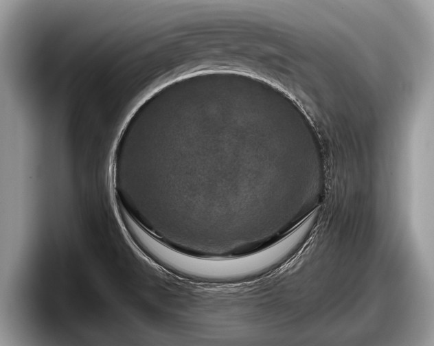 X0000097871519200803211304