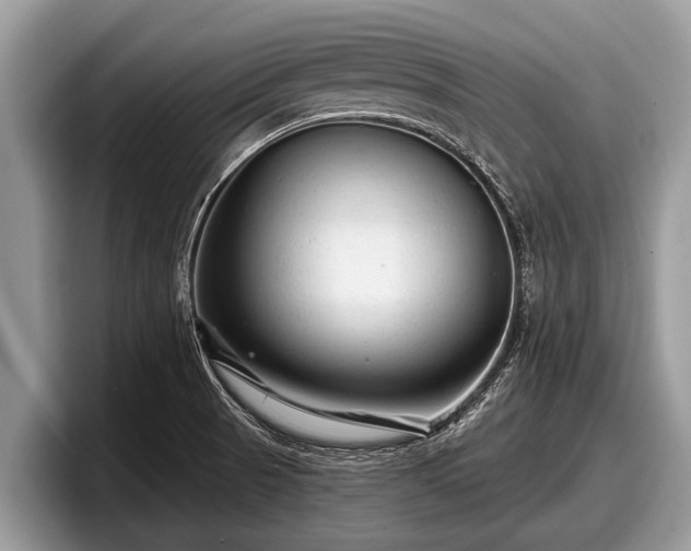 X0000097871521200803211304