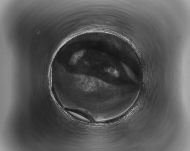 X0000097871522200803211304