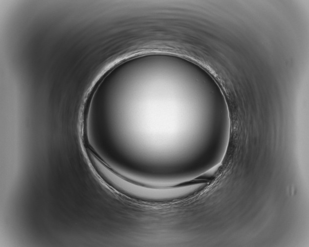 X0000097871523200803211304