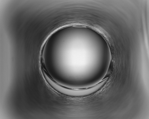 X0000097871524200803211304