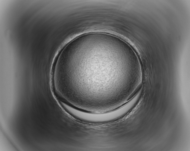 X0000097871525200803211304