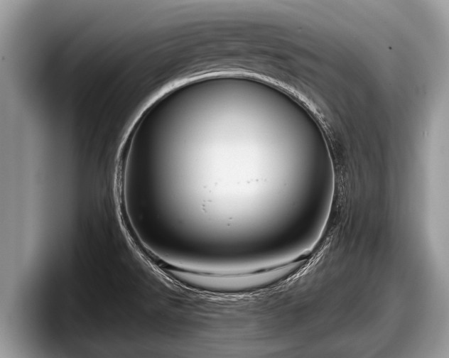 X0000097871526200803211304