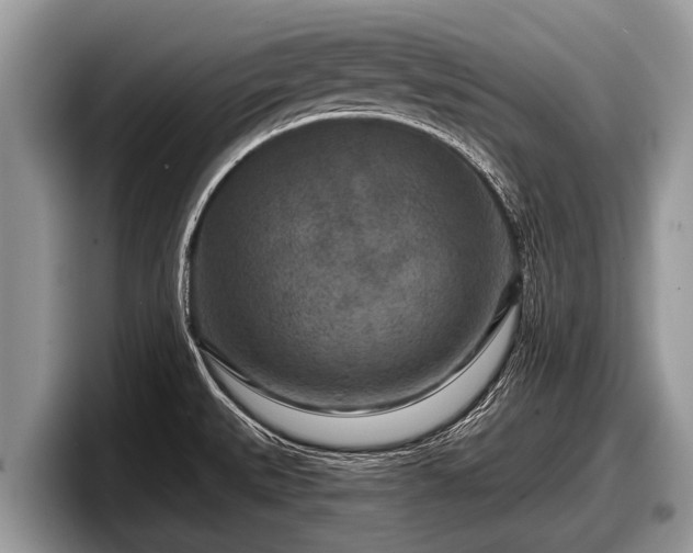 X0000097871527200803211304