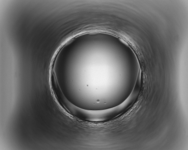 X0000097871528200803211304