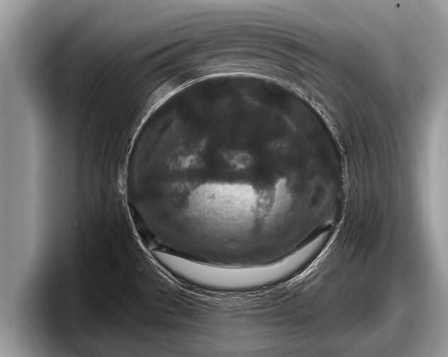 X0000097871529200803211304