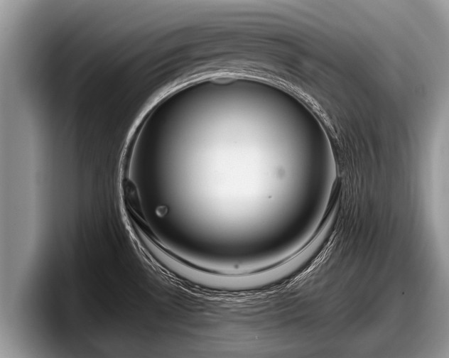 X0000097871530200803211304