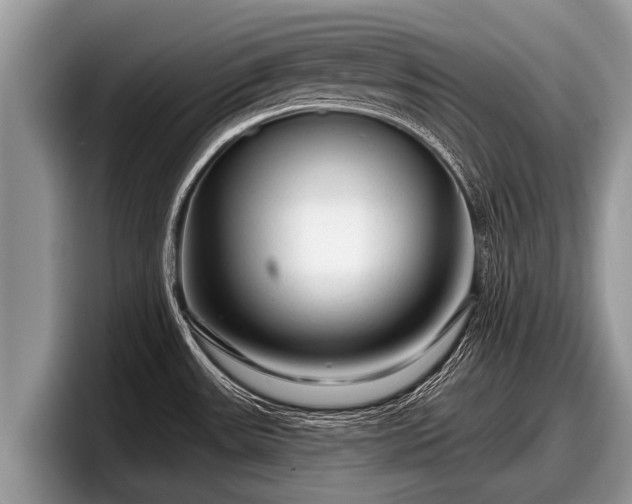 X0000097871531200803211304