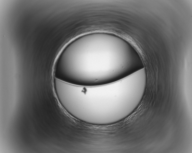 X0000097871532200803211304