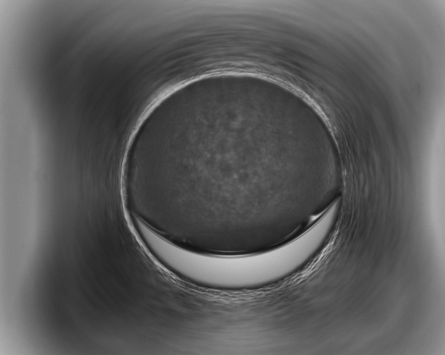 X0000097871533200803211304