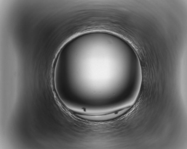 X0000097871534200803211304