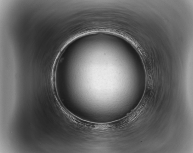 X0000097871535200803211304