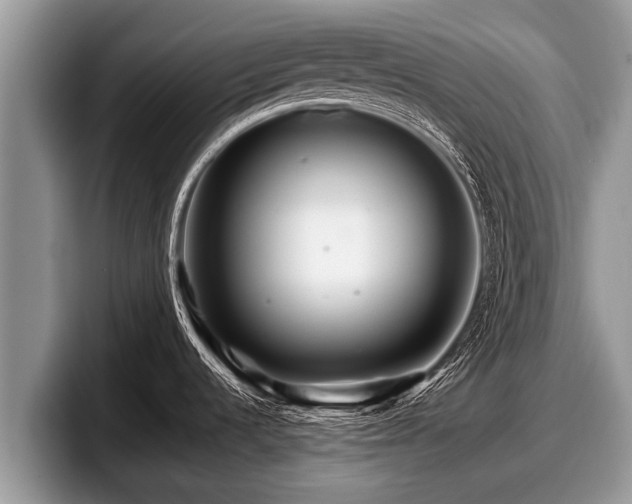 X0000097871536200803211304