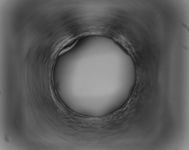 X0000097870001200803281212