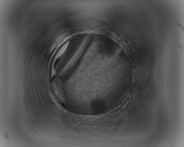 X0000097870002200803281212
