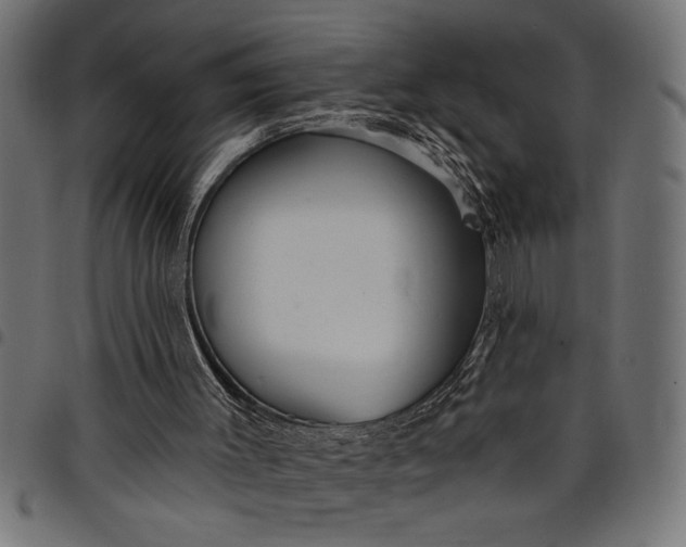 X0000097870003200803281212