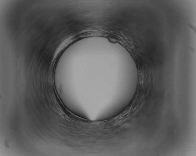 X0000097870004200803281212