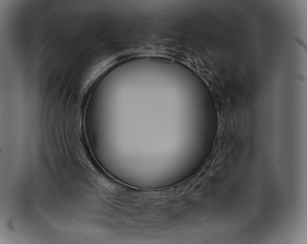 X0000097870005200803281212