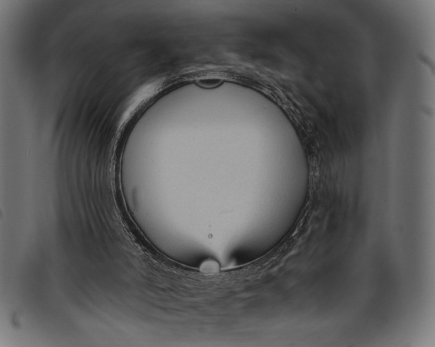 X0000097870006200803281212
