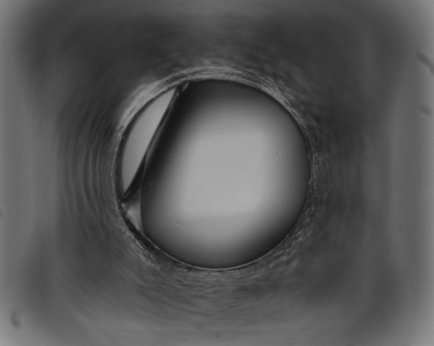 X0000097870007200803281212