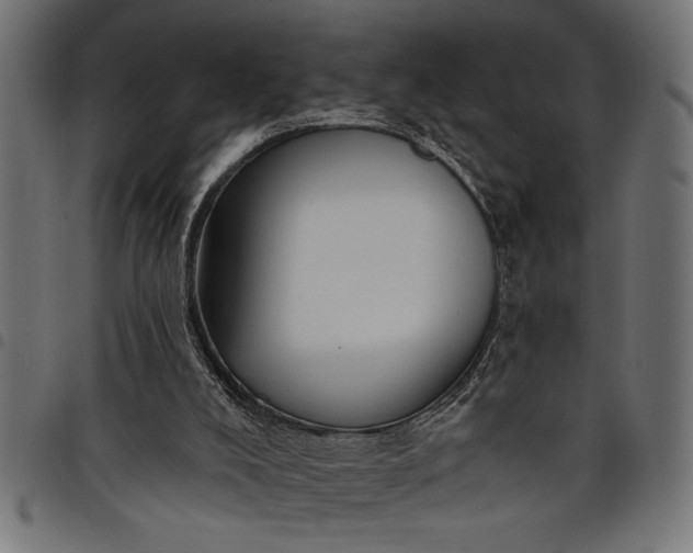 X0000097870008200803281212