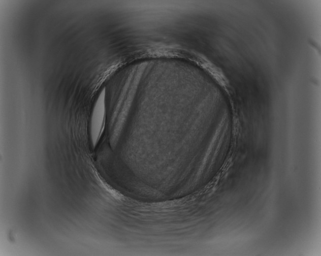 X0000097870009200803281212