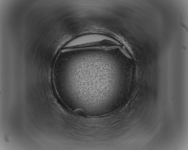 X0000097870010200803281212