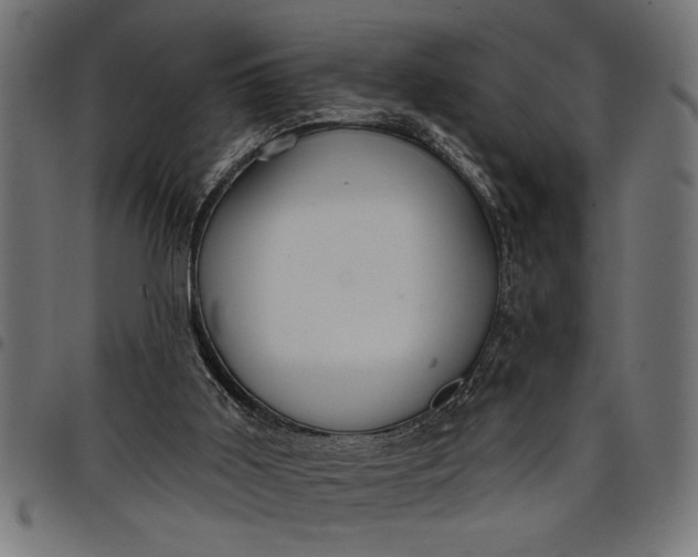 X0000097870011200803281212