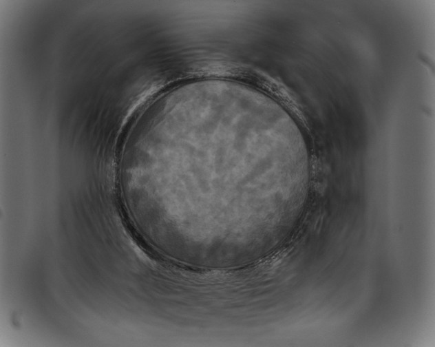 X0000097870012200803281212