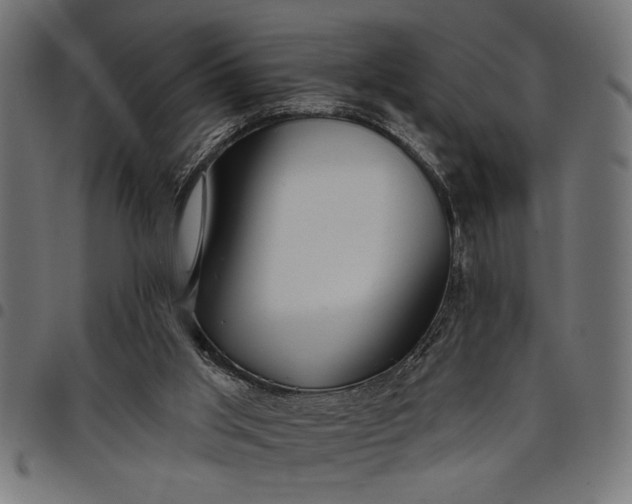 X0000097870013200803281212
