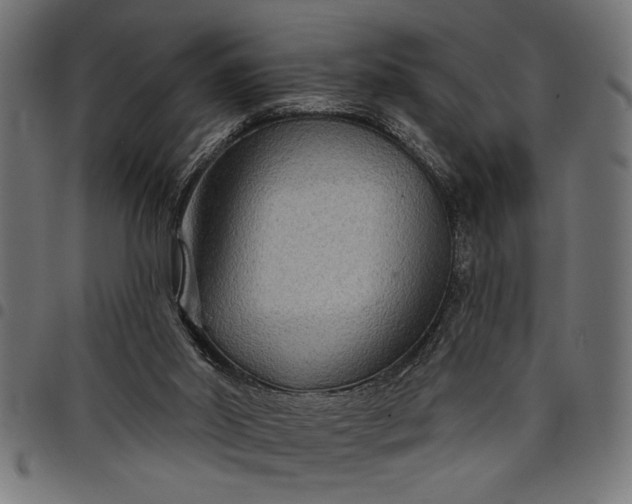 X0000097870014200803281212
