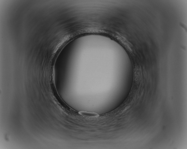 X0000097870015200803281212