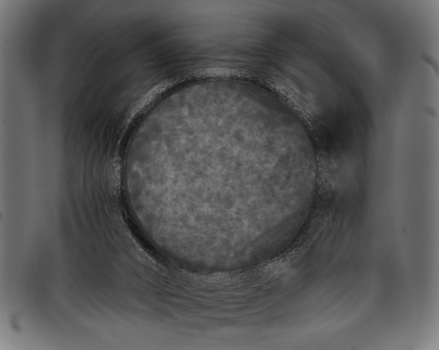 X0000097870016200803281212
