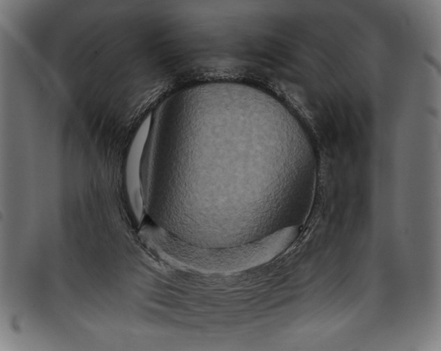 X0000097870017200803281212